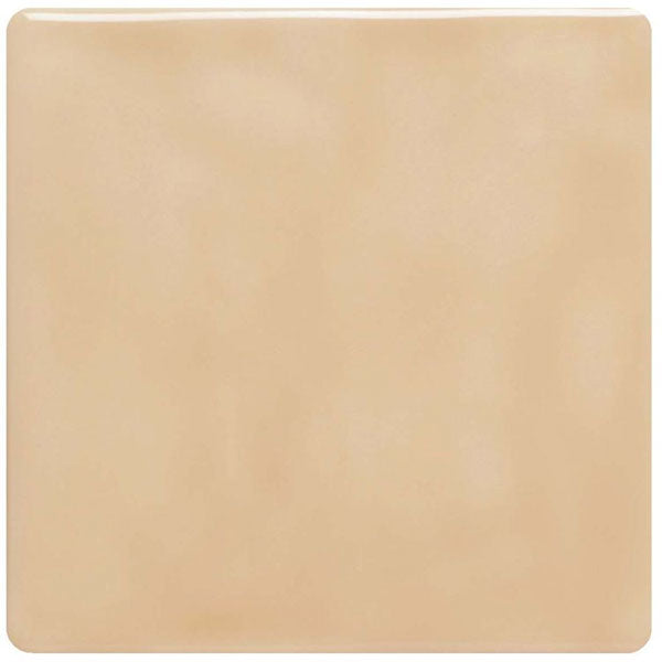 Winchester Classic Pebble Field Tile 12.7 x 12.7cm