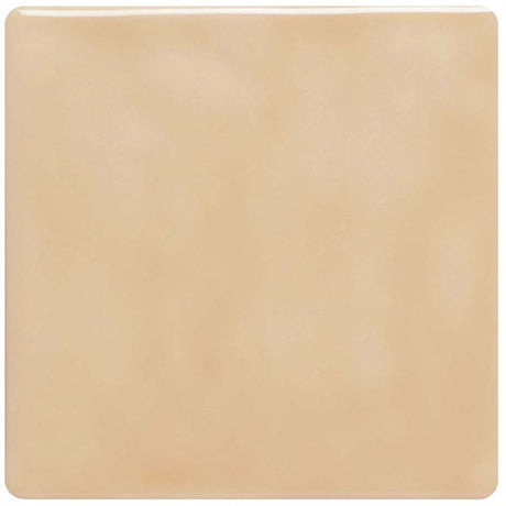 Winchester Classic Pebble Field Tile 12.7 x 12.7cm