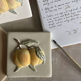 Winchester Classic Summer Fruits Apricot 12.7 x 12.7cm