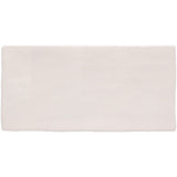 Winchester Residence Anemone Brick Tile 20 x 10cm