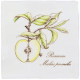 Winchester Residence Apple on Cotton Tile 13 x 13cm