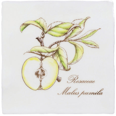 Winchester Residence Apple on Cotton Tile 13 x 13cm