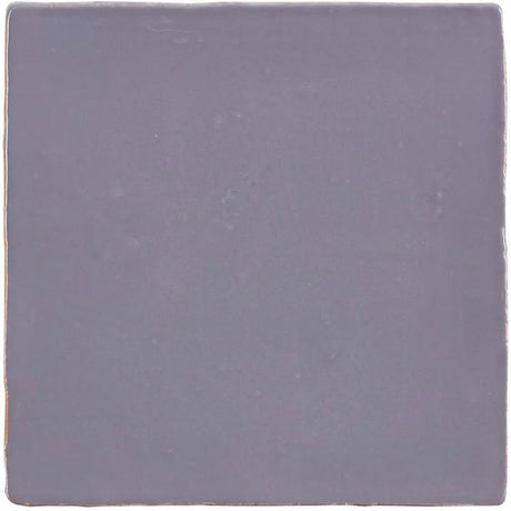 Winchester Residence Heath Field Tile 13 x 13cm