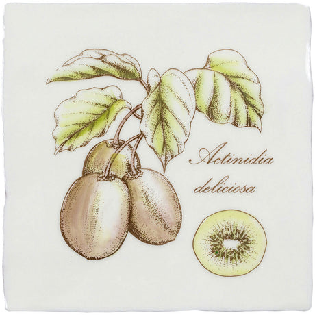 Winchester Residence Kiwi on Cotton Tile 13 x 13cm