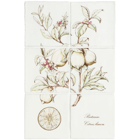 Winchester Residence Lemon 6 Tile Panel on Cotton 13 x 13cm