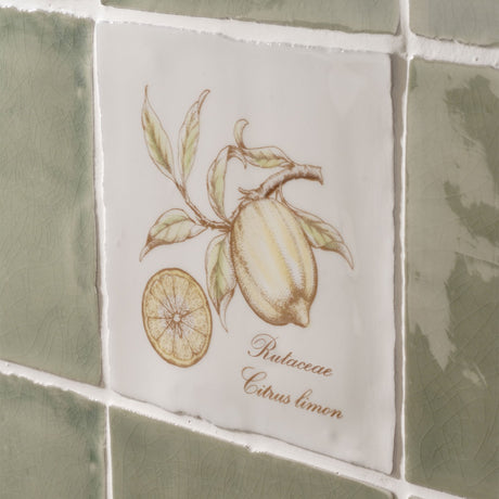Winchester Residence Lemon on Cotton Tile 13 x 13cm