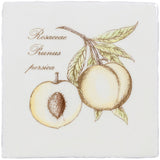 Winchester Residence Peach on Cotton Tile 13 x 13cm