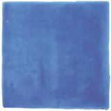 Winchester Residence Agapanthus Field Tile 13 x 13cm