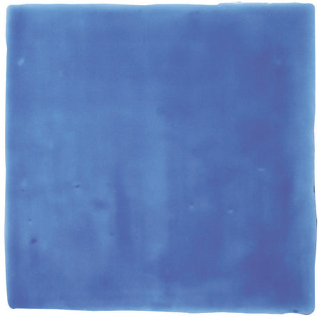 Winchester Residence Agapanthus Field Tile 13 x 13cm