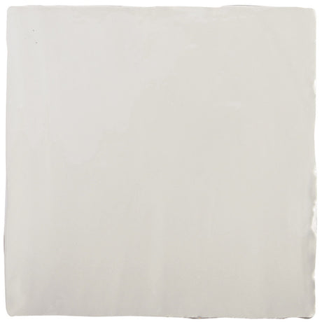 Winchester Residence Hibiscus Field Tile 13 x 13cm