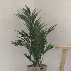 Azulev Slate Stone White tiles