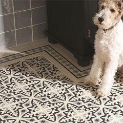 Odyssey Romanesque Light Grey and Black on White Tile